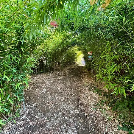 Yourte Nature Luksustelt Montesquieu (Pyrenees-Orientales)